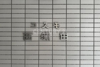 ̑@ٖ